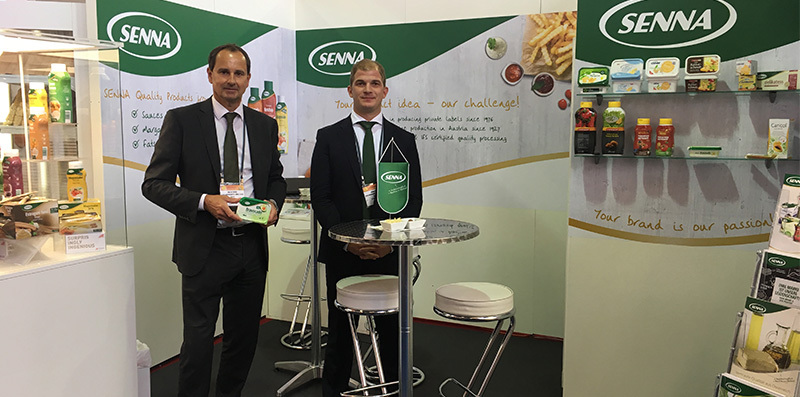 Plma Startseite Klein